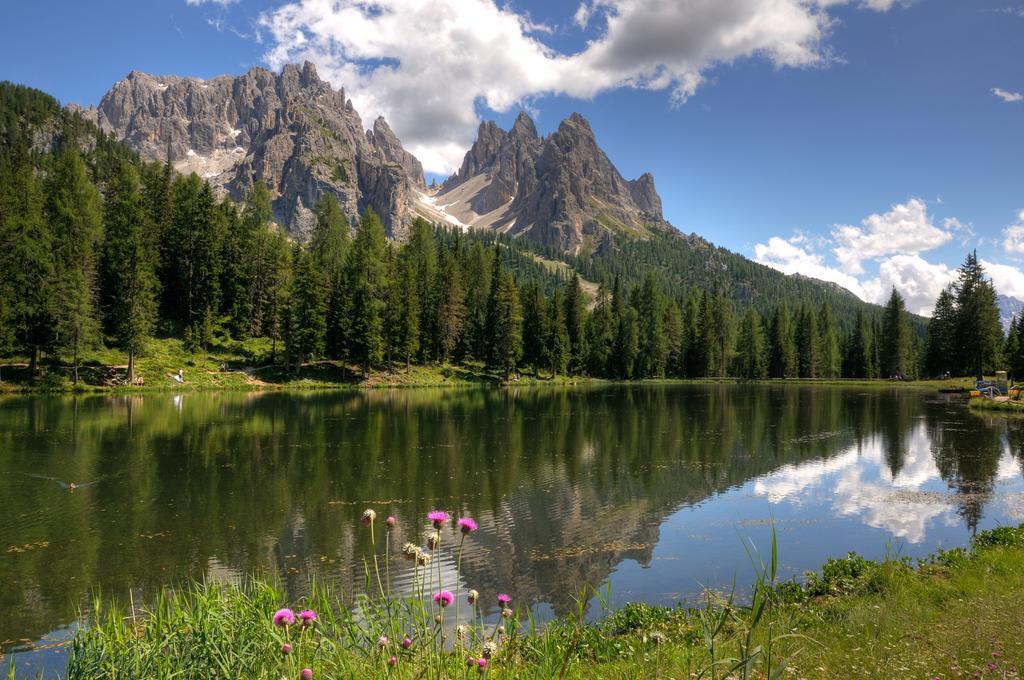 Hotel Ander Brunico Dış mekan fotoğraf